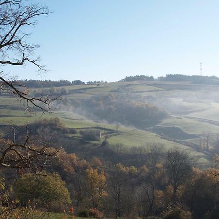 Gites Le Chene & Le Tilleul Saint-Romain-de-Lerps Bagian luar foto