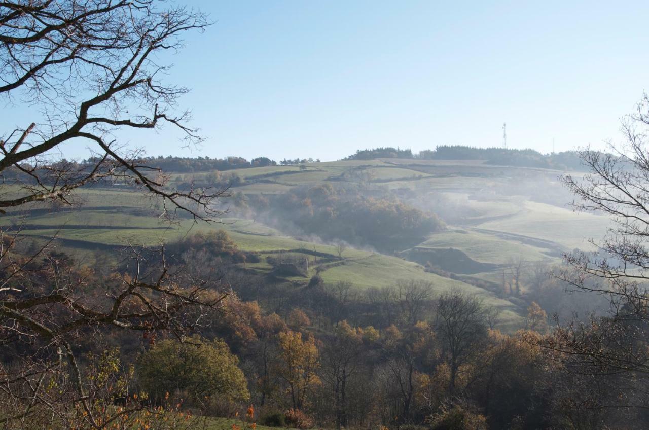 Gites Le Chene & Le Tilleul Saint-Romain-de-Lerps Bagian luar foto