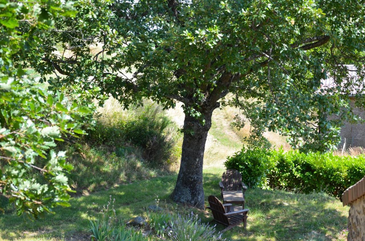 Gites Le Chene & Le Tilleul Saint-Romain-de-Lerps Ruang foto